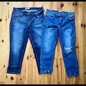 3 PAIRS OF WOMENS JEANS